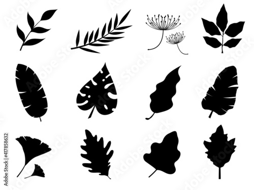 leaves plant black color for nature and white background. © CHANTHIMA SAENUBON