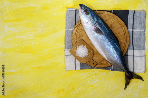 large seriola amberjack is a dumerili on a yellow background. top view photo