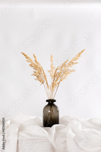 Pampasgras Trockenblumen arrangiert in einer schlichten braunen Glasvase auf weißem Hintergrund