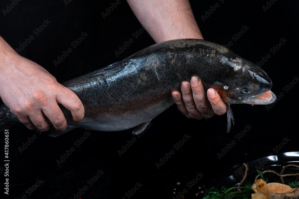Man holds fresh salmon salmon on a dark background. Man holds fresh salmon salmon on a dark background.