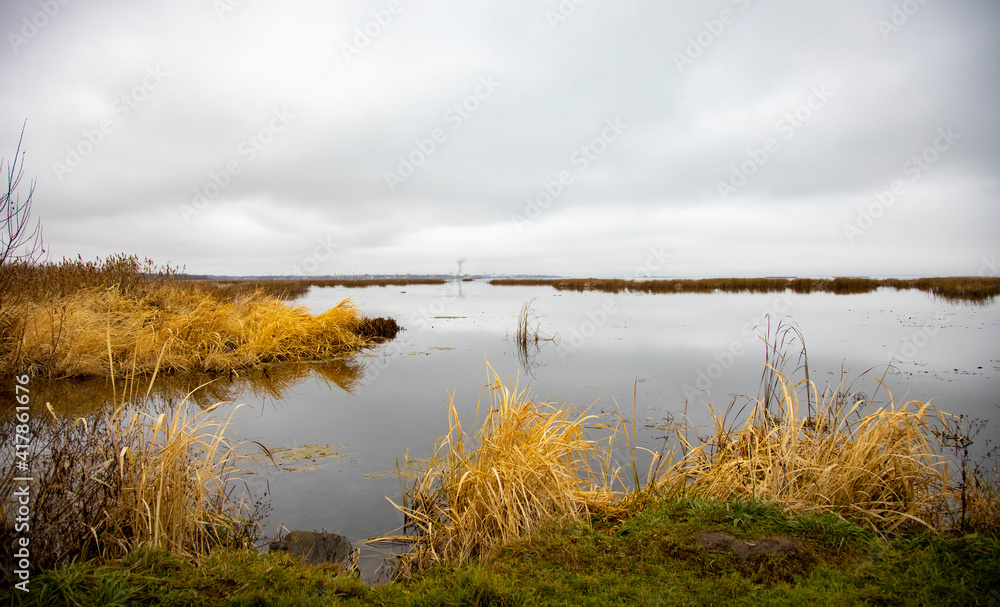 autumn lake landscape. dry grass, cloudy sky