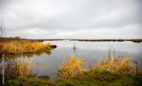autumn lake landscape. dry grass  cloudy sky