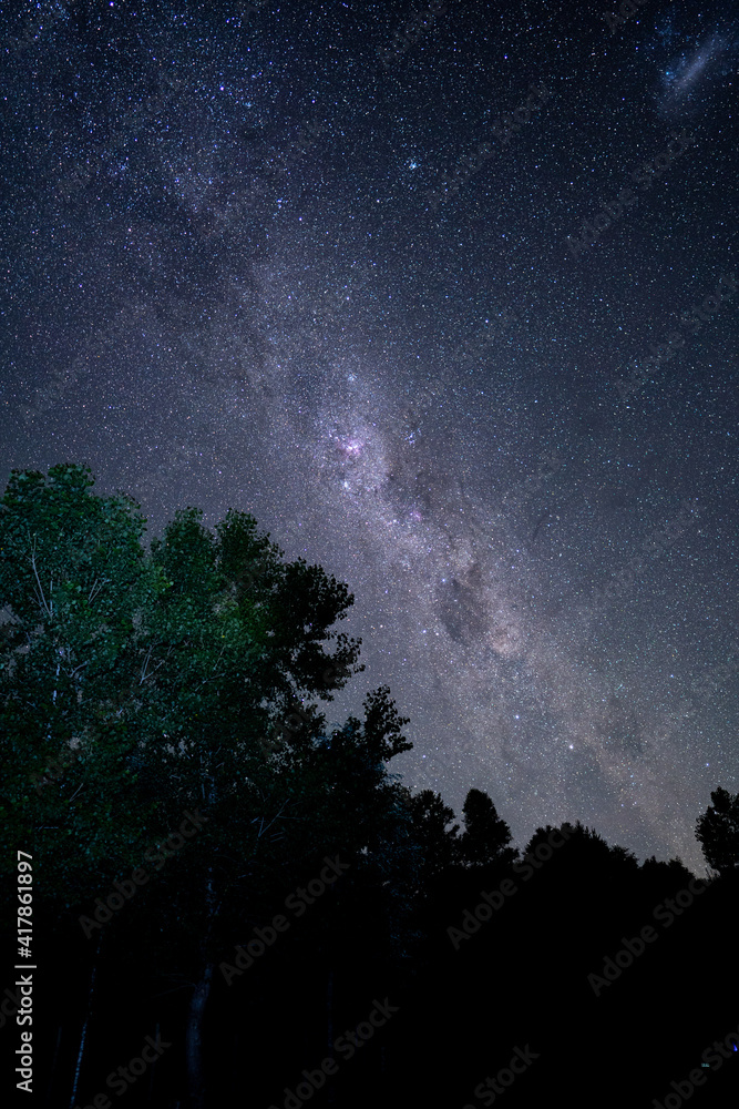 starry landscape amidst the immensity of a forest starry landscape amidst the immensity of a forest