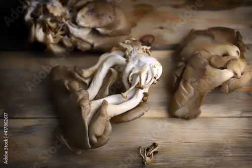 Oyster mushrooms on a wooden surface. Raw mushrooms.