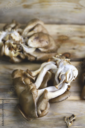 Oyster mushrooms on a wooden surface. Raw mushrooms.