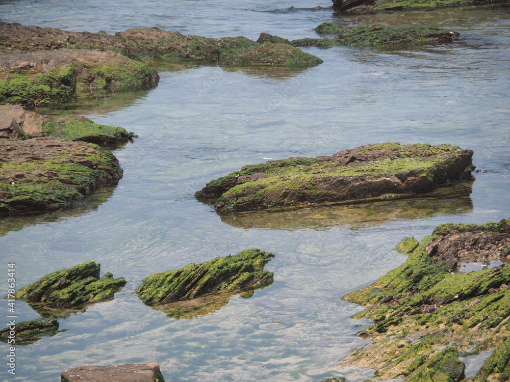 stone background with beach green moss, rock with beach stone moss stone background with beach green moss, rock with beach stone moss
