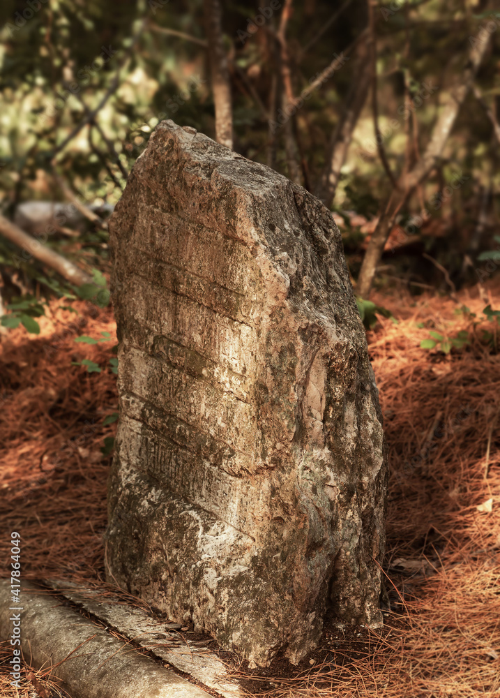 Old large stone covered with moss in the forest close-up. Granite stone, with the text in Russian Old large stone covered with moss in the forest close-up. Granite stone, with the text in Russian