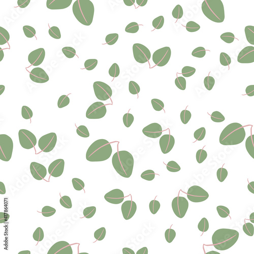 seamless vector pattern with eucalyptus leaves in different sizes
