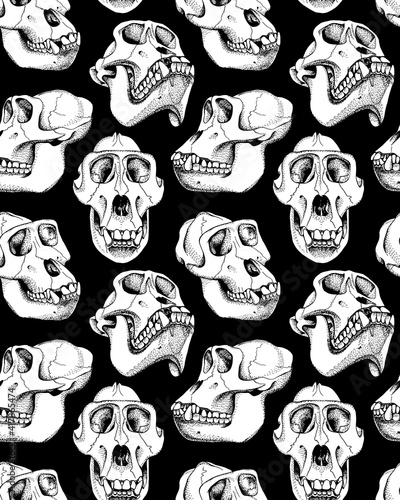Seamless pattern with image of a Skull Monkey. Vector black and white illustration.