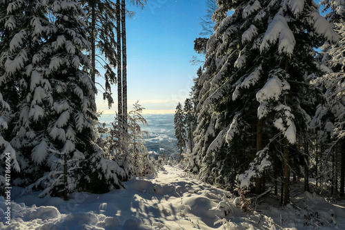 Fototapeta Naklejka Na Ścianę i Meble -  First sunbeams shining through the branches at the top of snow covered peak of Schoeckl, Austrian Alps. The trees are sprinkled with snow. Winter landscape. Daybreak.Dense forest. Frosty early mornin