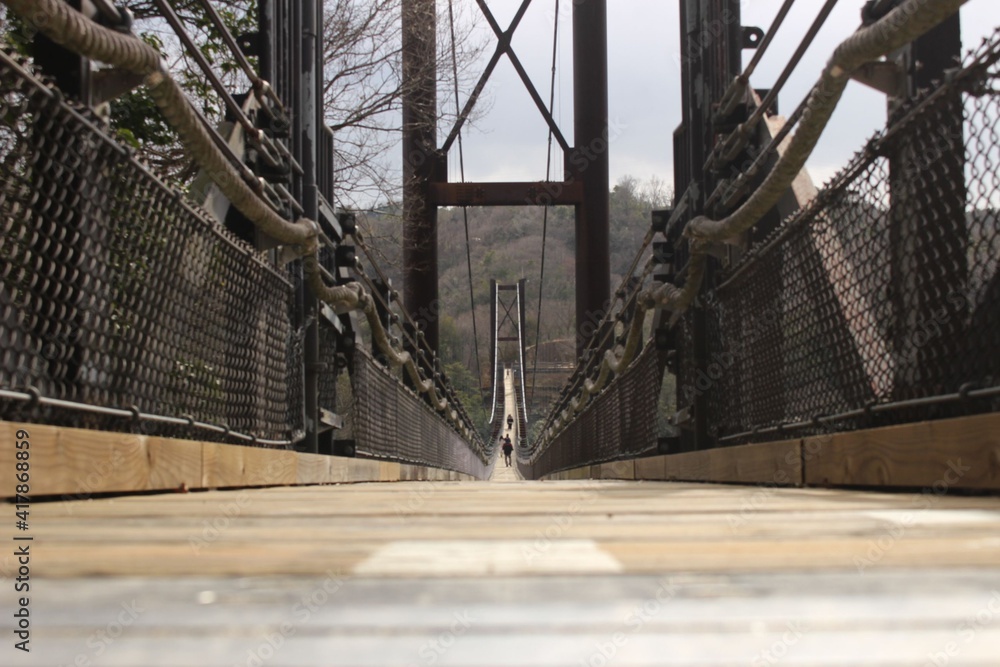Fototapeta premium 山間部の吊り橋