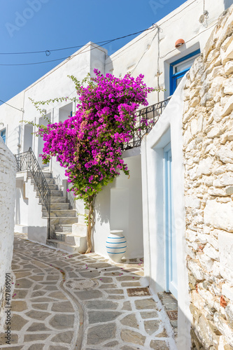 Traditional Cycladitic alley with a narrow street, whitewashed houses and a blooming bougainvillea in Parikia, Paros island, Greece. 