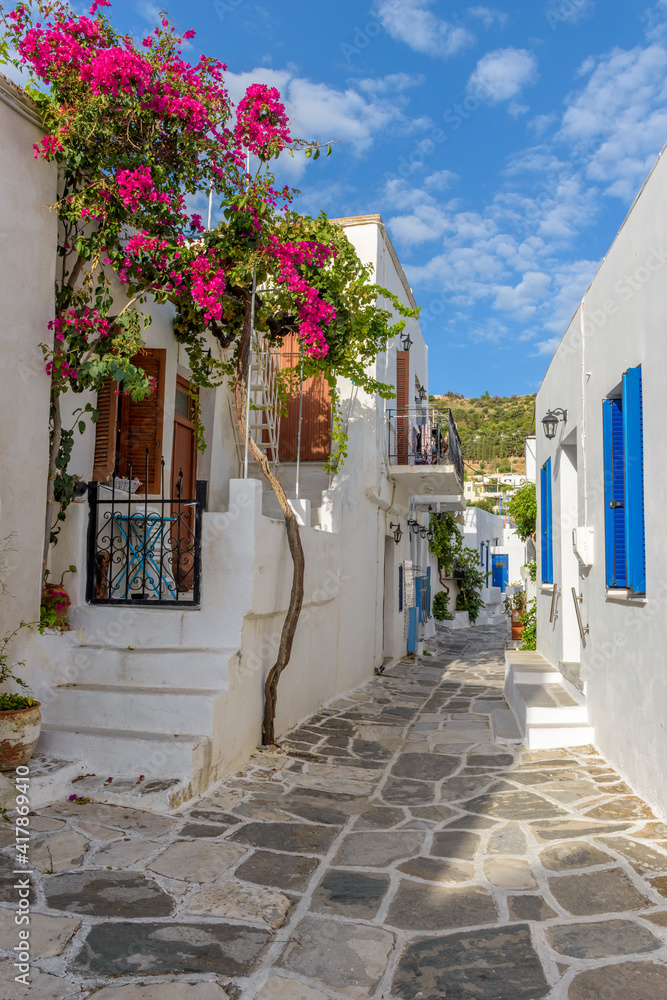 Picturesque alley in lefkes Paros greek island with a full blooming bougainvillea !! Whitewashed traditional houses   and flowers all over !!!