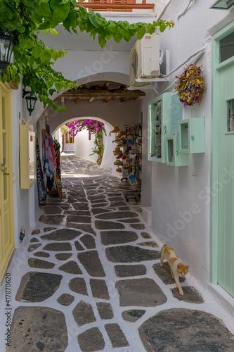 Traditional Cycladitic alley with narrow street, whitewashed facade of stores a cafe exterior and a blooming bougainvillea in Naousa Paros island, Greece.