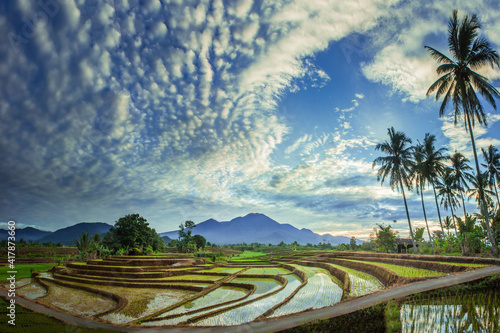 morning beauty on the rice terraces of the growing season with blue mountains and warm morning sunshine in indonesia