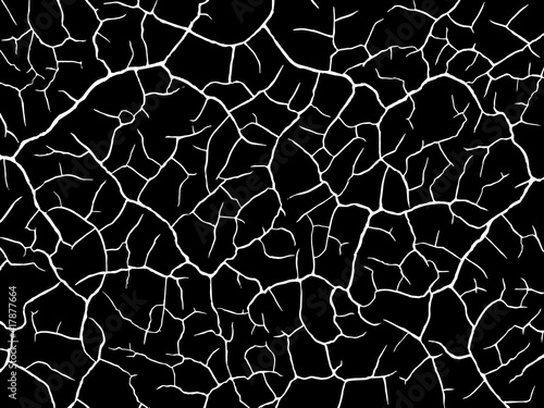 The cracks texture white and black. Vector background. Cracked earth. Structure of cracking. Cracks in dry surface soil texture. shards