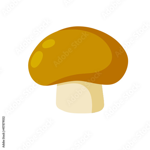 Boletus edulis. Eco-friendly cep food. Flat cartoon illustration. Mushroom with a brown cap. Natural product from the forest