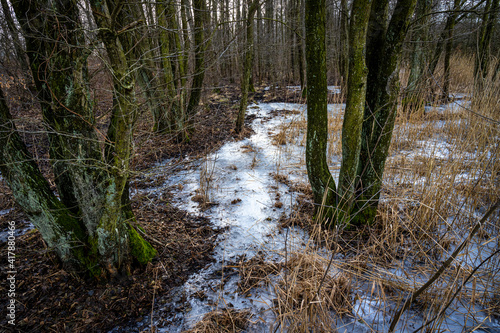 A winter photo of an icy water pond in a forest. Picture from Lund, southern Sweden