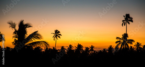 A sunset with silhouetted palm trees at Jambiani, Zanzibar