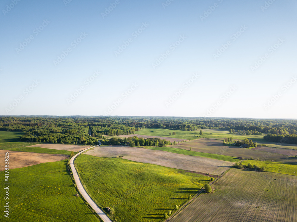 Clear Blue Sky with Copy Space, over Green Meadows and Trees