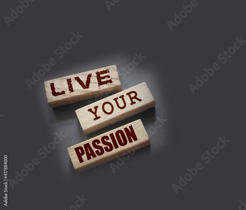 Live your passion words written on wooden blocks. live your dream predestination self motivation coaching concept