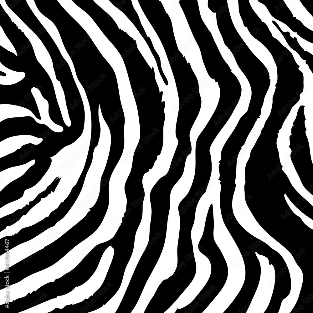 Zebra skin background. Safari animal print