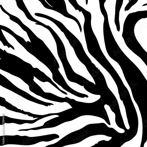 Photography Zebra skin safari backdrop. Animal print