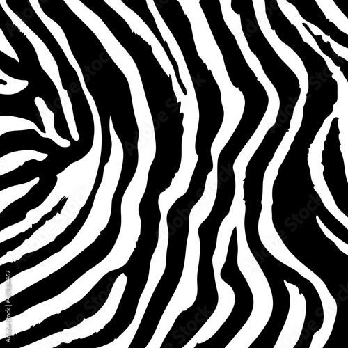 Zebra skin background. Safari animal print
