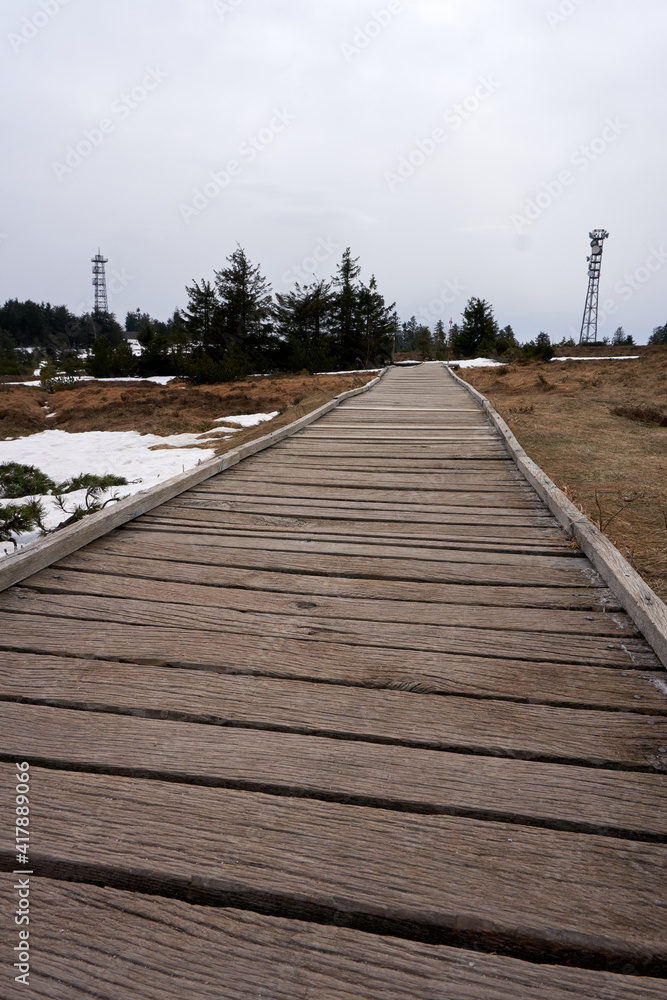 high moor on the hornisgrinde at the mummelsee lake