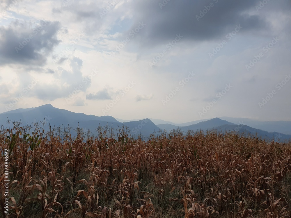Obraz premium clouds over the mountains