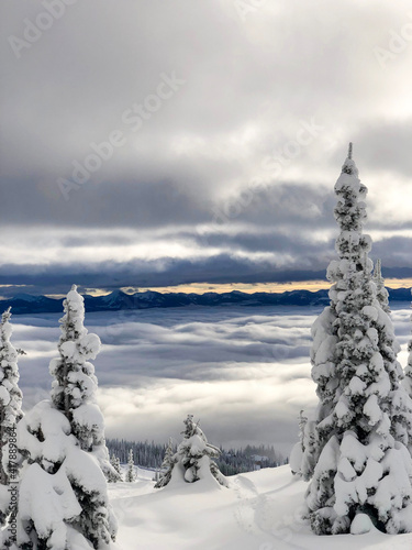 Big White   Snow Forest 8 © Georgina B-St