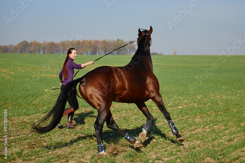 Young woman running with horse on green field on sunny summer day, copy space. Girl training bay stallion outdoors