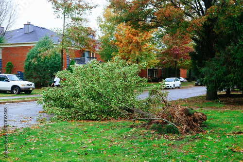 Hurricane flood and wind damage