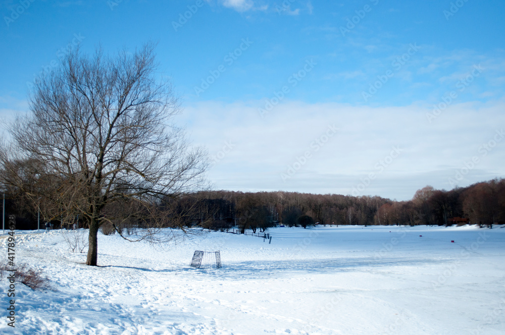 Winter panorama. View of the frozen lake on a sunny winter day. Winter panorama. View of the frozen lake on a sunny winter day.