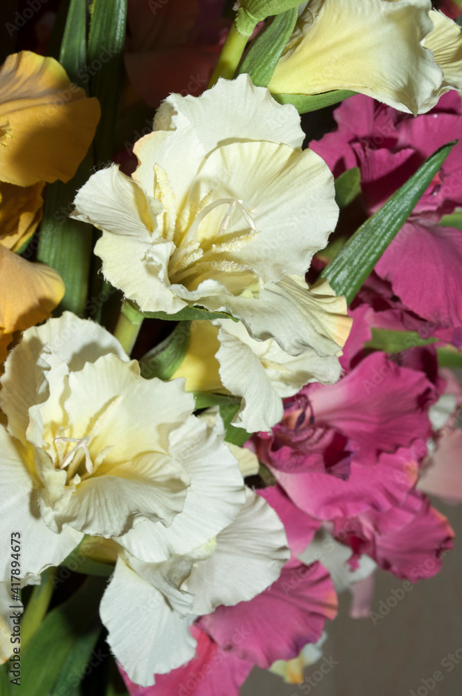 Bouquet of gladioli close-up. White and purple flowers and artificial gladioli.
