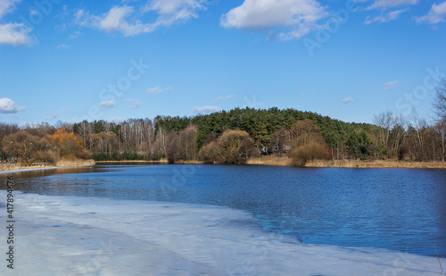 Early spring in nature. Ducks swim on the spring lake © Sviatlana