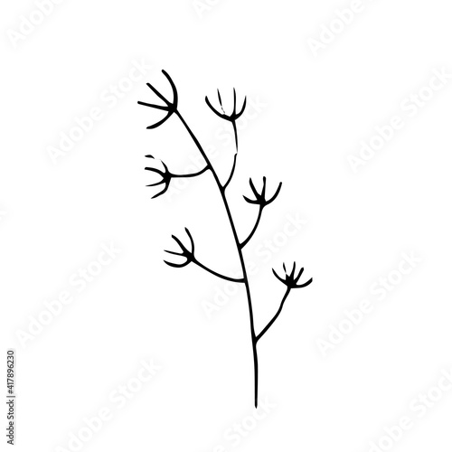 Doodle grass  plant. Border Edging. Freehand drawing. Black and white outline. Decor for postcards. Vector illustration