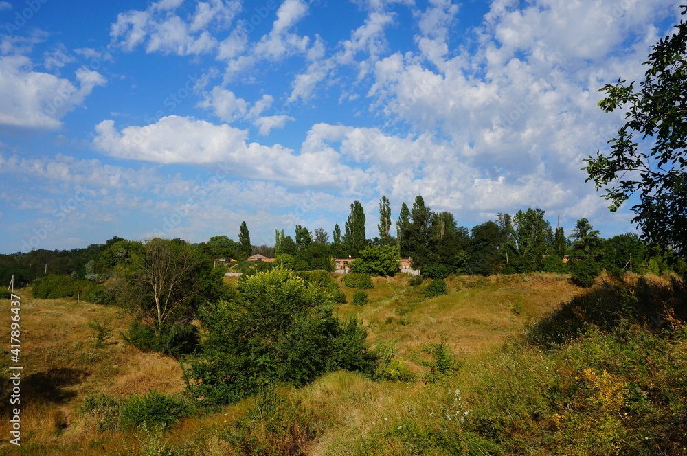 landscape with trees and sky