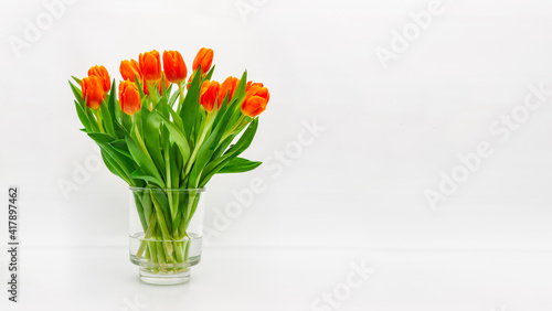 Blumenstrauss aus roten Tulpen auf weissem Hintergrund