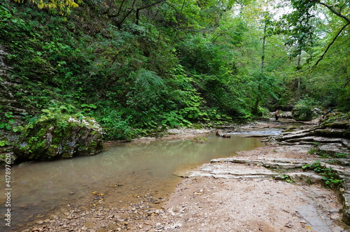 river in the forest