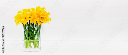 Blumenstrauss aus gelben Osterglocken auf weissem Hintergrund