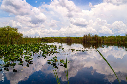The Everglades are subtropical wetlands in the southern portion of the U.S. state of Florida, comprising the southern half of a large watershed. It is infested with alligators, pythons, and .airboats