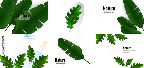 Set of creative flyers. Creative green oak leaves and banana leaves on a light background. Template for your design. Vector