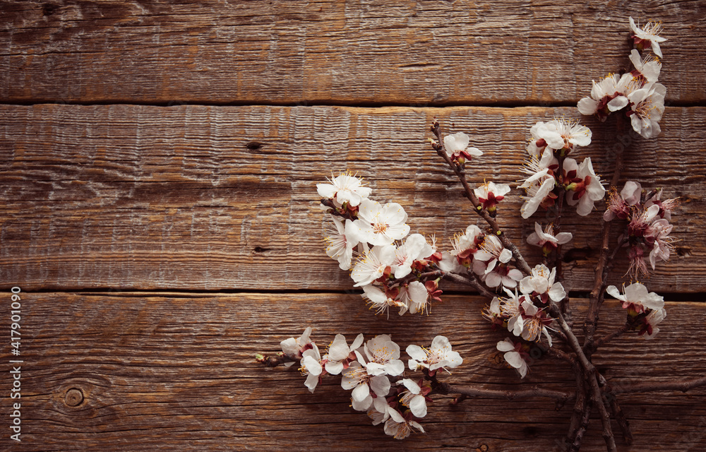Garden flowers over dark wooden table background. Backdrop with copy space. Frame of apple branch on rustic wooden background. Spring flowers. Spring background. Top view. Garden flowers over dark wooden table background. Backdrop with copy space. Frame of apple branch on rustic wooden background. Spring flowers. Spring background. Top view.