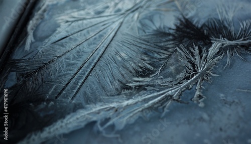 frost on the dark glass

