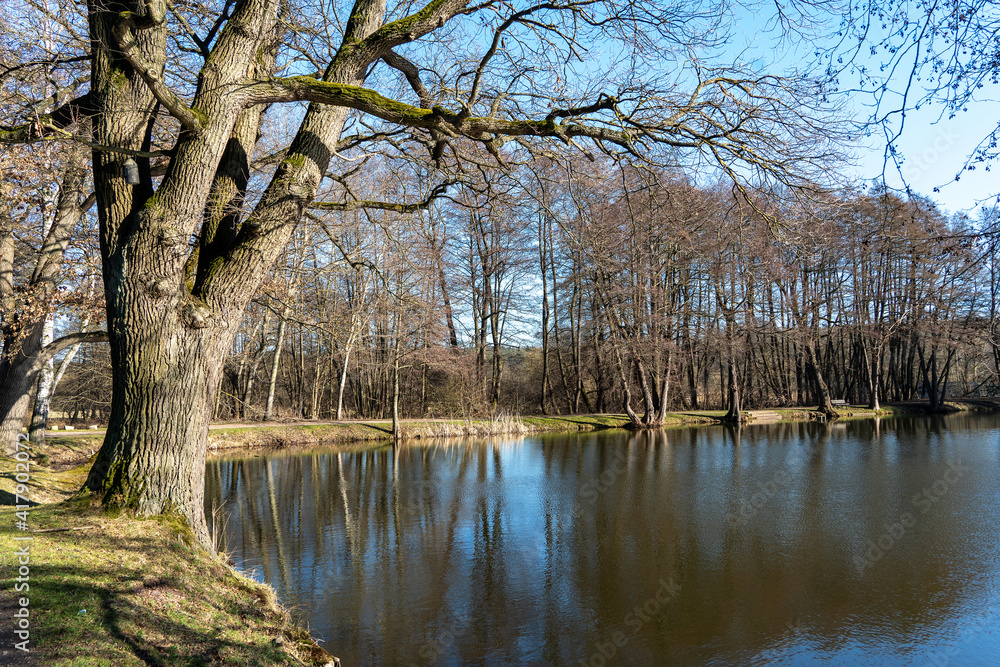 Am Ufer der Teiche bei Langewiesen in Thüringen