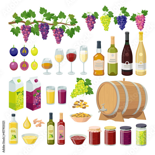 Grapes products set of vector illustration isolated on white background.
