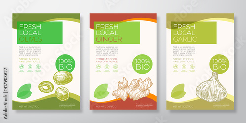 Fresh Local Vegetables Label Templates Set. Vector Packaging Design Layouts Collection. Typography Banner with Hand Drawn Olives, Ginger Root and Garlic Sketch Silhouette Background Isolated