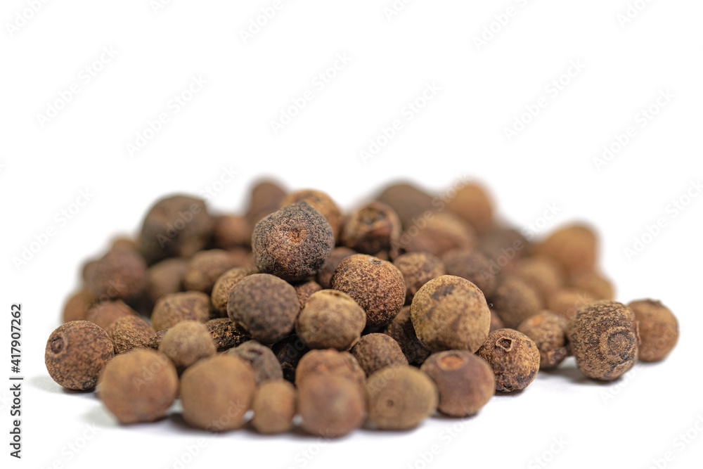 Piment, Pimenta dioica, vor weißem Hintergrund Piment, Pimenta dioica, vor weißem Hintergrund