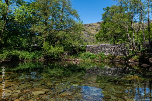river in the forest